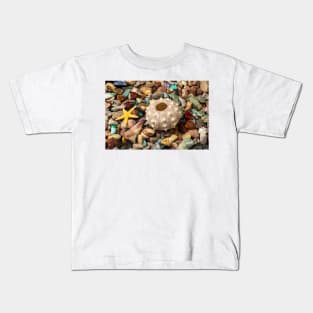 Sea Urchin On Colored Stones Kids T-Shirt